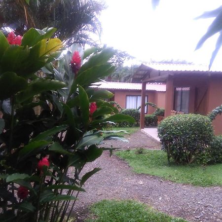 Slow Travel Lodge Upala Esterno foto
