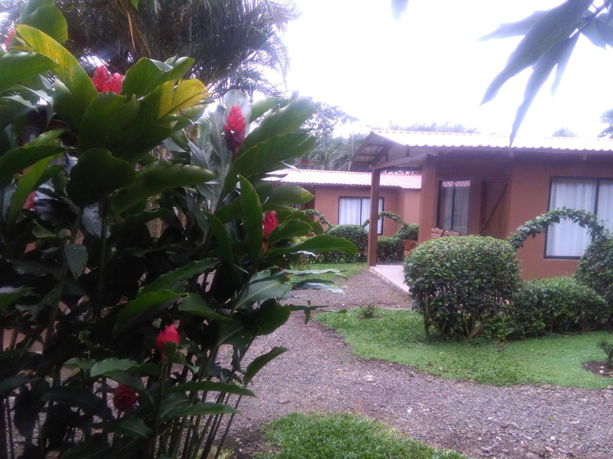 Slow Travel Lodge Upala Esterno foto