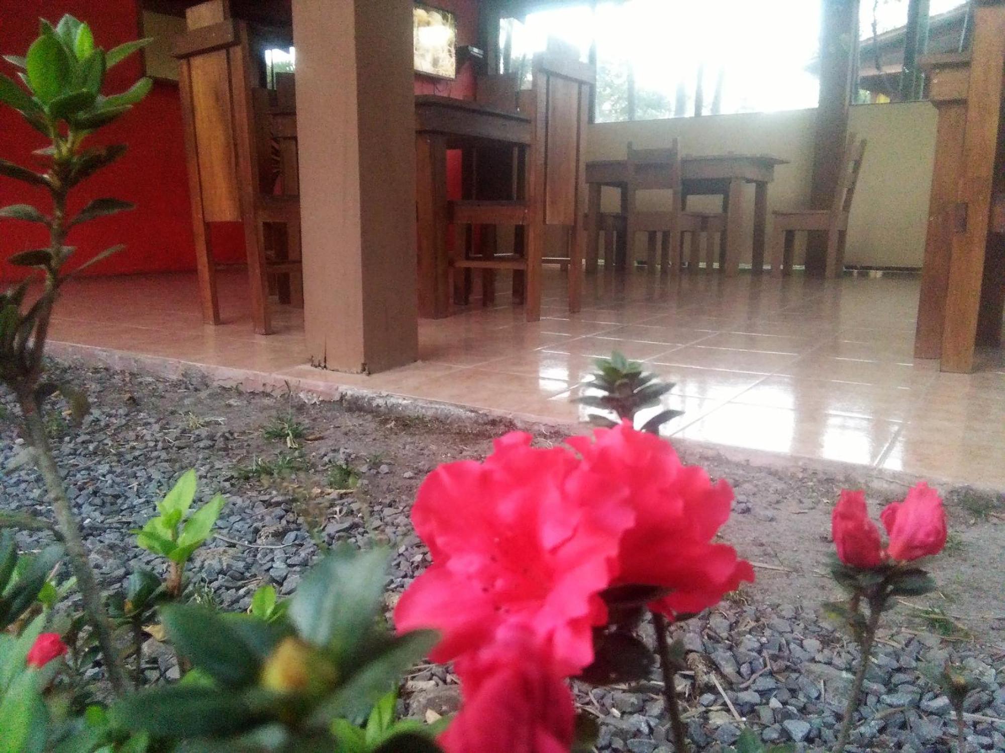 Slow Travel Lodge Upala Esterno foto